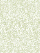 John Lewis Laura Ashley Little Vines Wallpaper White Leaf Design 5.2m² Roll- Buy online at McGrocer