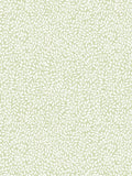 Laura Ashley Little Vines Wallpaper roll 5.2m², UK version