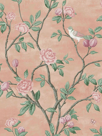 John Lewis Laura Ashley Eglantine Wallpaper Rose Design Interior- Buy online at McGrocer