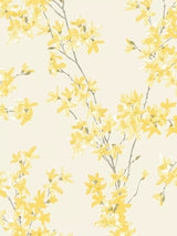 John Lewis Laura Ashley Forsythia Wallpaper- Buy online at McGrocer