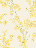 Laura Ashley Forsythia Wallpaper, UK version