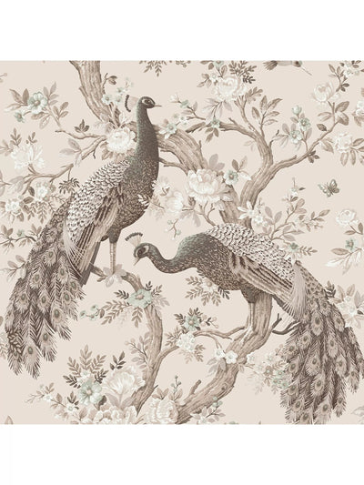 John Lewis Wallpaper with Striking Peacock Design- Buy online at McGrocer