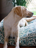 Morris & Co. Dog Mattress Green Medium, imported from the UK