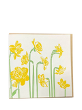 Penguin Ink daffodils blank greeting card (British brand)