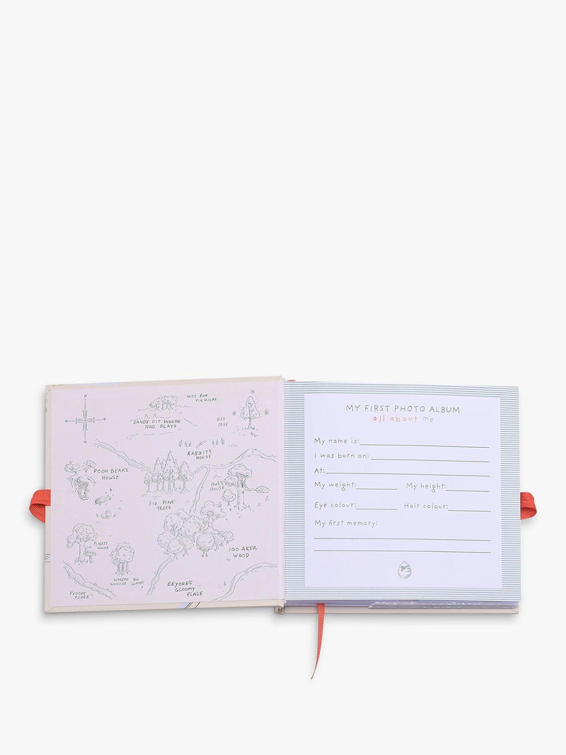 Disney Winnie The Pooh baby photo album - British product