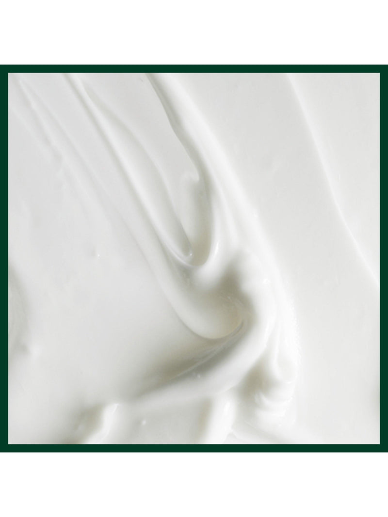 Aveda Scalp Solutions Replenishing Conditioner 40ml (British brand)