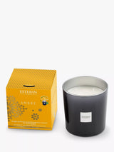 John Lewis Esteban Ambre Scented Candle 450g- Buy online at McGrocer