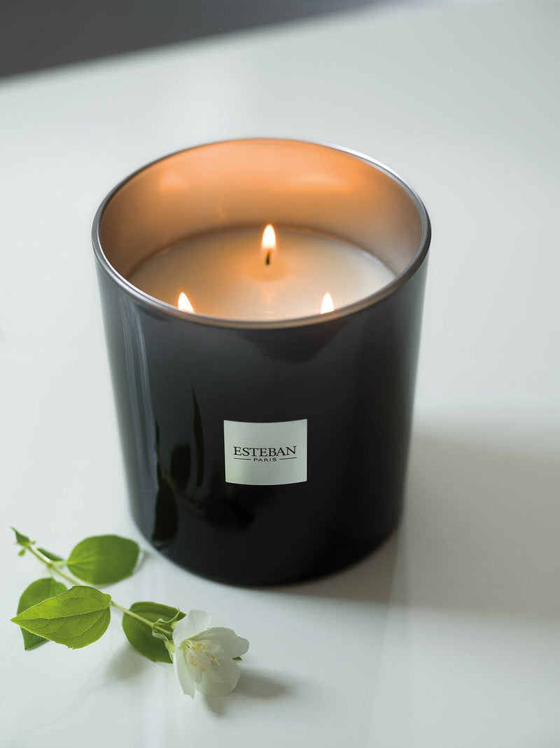 Esteban Teck & Tonka scented candle 450g - British product