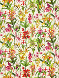 Harlequin Cadencia & Kalina Furnishing Fabric 141cm