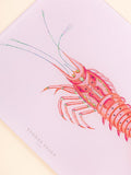 Yvonne Ellen lobster kitchen worktop saver 30x40cm, imported from the UK