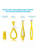 Fridababy training toothbrush set multi, imported from the UK