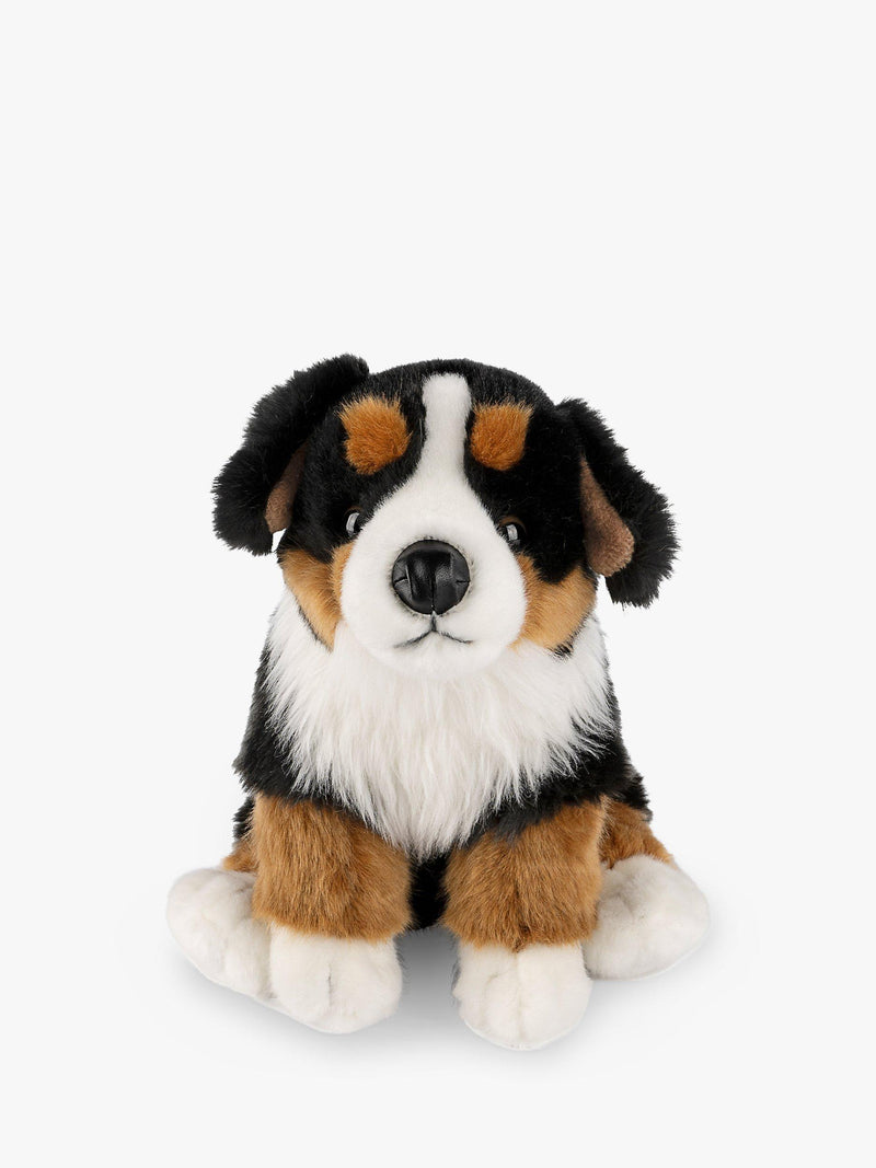 Bernese Mountain Dog Plush Soft Toy with Fact File