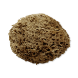 Holland & Barrett SpongeBox Soft Serenity Sheep Wool Natural Bath Sponge 5-5.5 Inches- Buy online at McGrocer