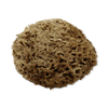 SpongeBox natural sea sponge Soft Serenity 5-5.5 inches - British product