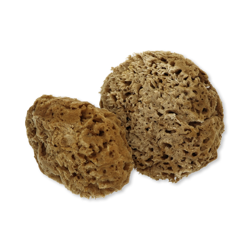 SpongeBox natural sea sponge Soft Serenity 5-5.5 inches - British product