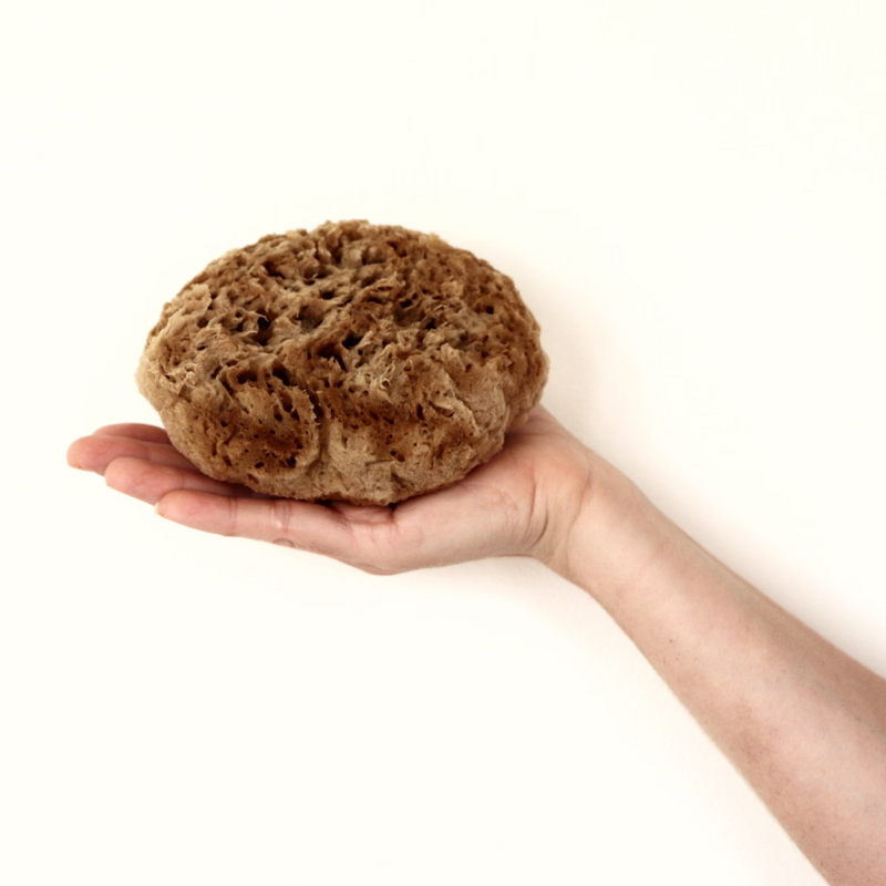 SpongeBox natural sea sponge Soft Serenity 5-5.5 inches - British product