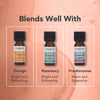 Tisserand ginger organic essential oil 9ml (British brand)