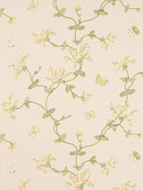 John Lewis Colefax and Fowler Honeysuckle Garden Wallpaper 10m x 52cm- Buy online at McGrocer