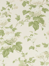 John Lewis Colefax and Fowler Chantilly Floral Wallpaper- Buy online at McGrocer