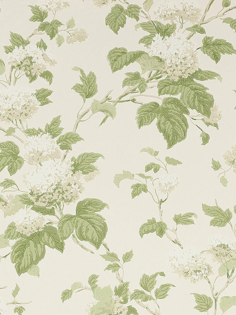 Colefax and Fowler Chantilly floral wallpaper 10m x 52cm - British product