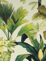 John Lewis Colefax and Fowler Manuel Canovas Salengro Wallpaper, 10m x 68.5cm- Buy online at McGrocer