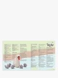 GMC Knitted Menagerie animal knitting pattern book, UK version