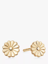 John Lewis Daisy London Flower Bloom Stud Earrings- Buy online at McGrocer