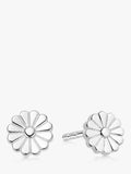 Daisy London Flower Bloom Stud Earrings