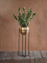 John Lewis Nkuku Atsu Indoor Planter & Stand Antique Brass 78cm- Buy online at McGrocer