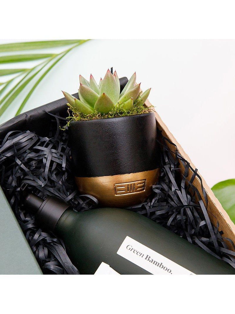 The Little Botanical hand care gift box (British brand)