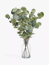 John Lewis John Lewis Artificial Eucalyptus in Glass Vase Green Artificial Plant 61cm- Buy online at McGrocer
