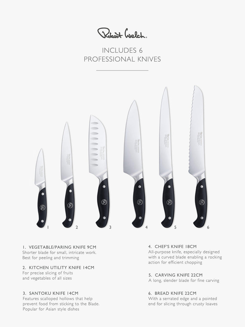 Robert Welch knife block with 6 professional knives, UK version
