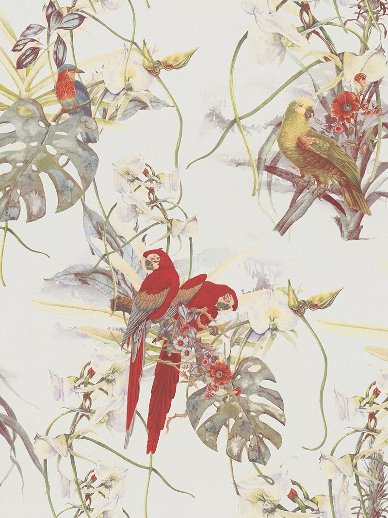 Galerie exotic parrot wallpaper 10.05m x 53cm, UK version