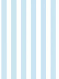 Galerie Regency Stripe Wallpaper 10m x 53cm