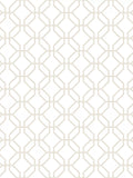 Galerie trellis wallpaper in summer shades (British brand)