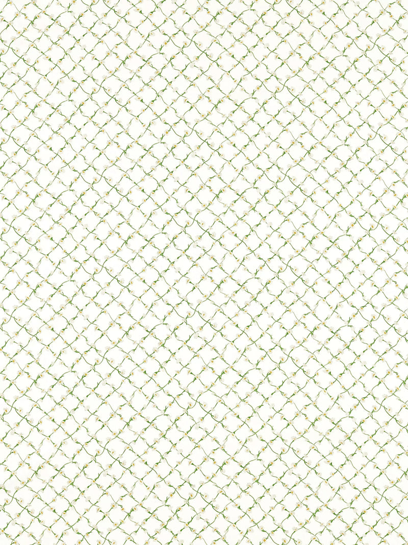 Harlequin daisy trellis fabric emerald pearl 140cm (British brand)