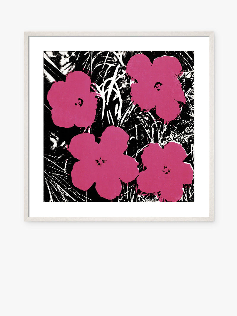 John Lewis Andy Warhol Flowers framed print 50x50cm, UK version