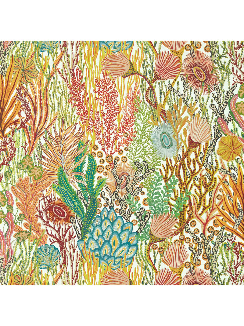 Harlequin Acropora coral reef wallpaper, UK version