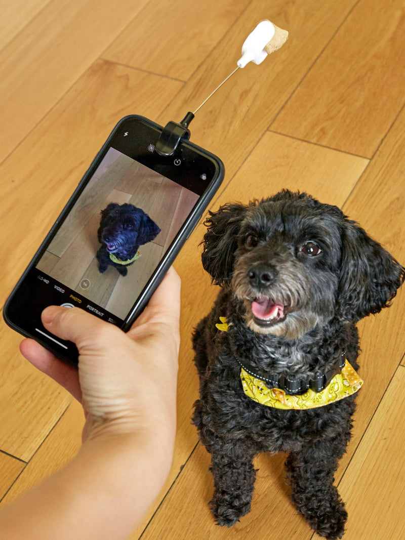 Kikkerland Kobe Dog Treat Selfie Clip, UK version