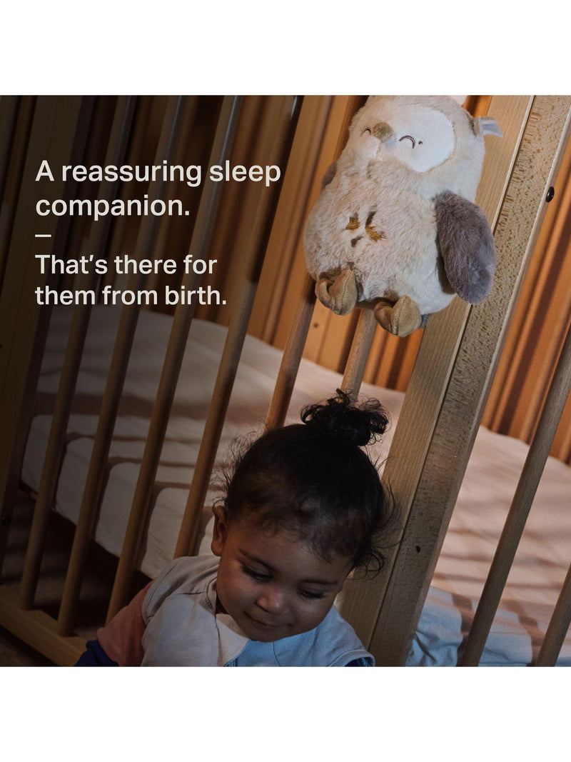 Tommee Tippee Deluxe Ollie Owl sleeping aid (British brand)