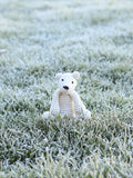 TOFT Mini Piotr Polar Bear crochet kit (British brand)