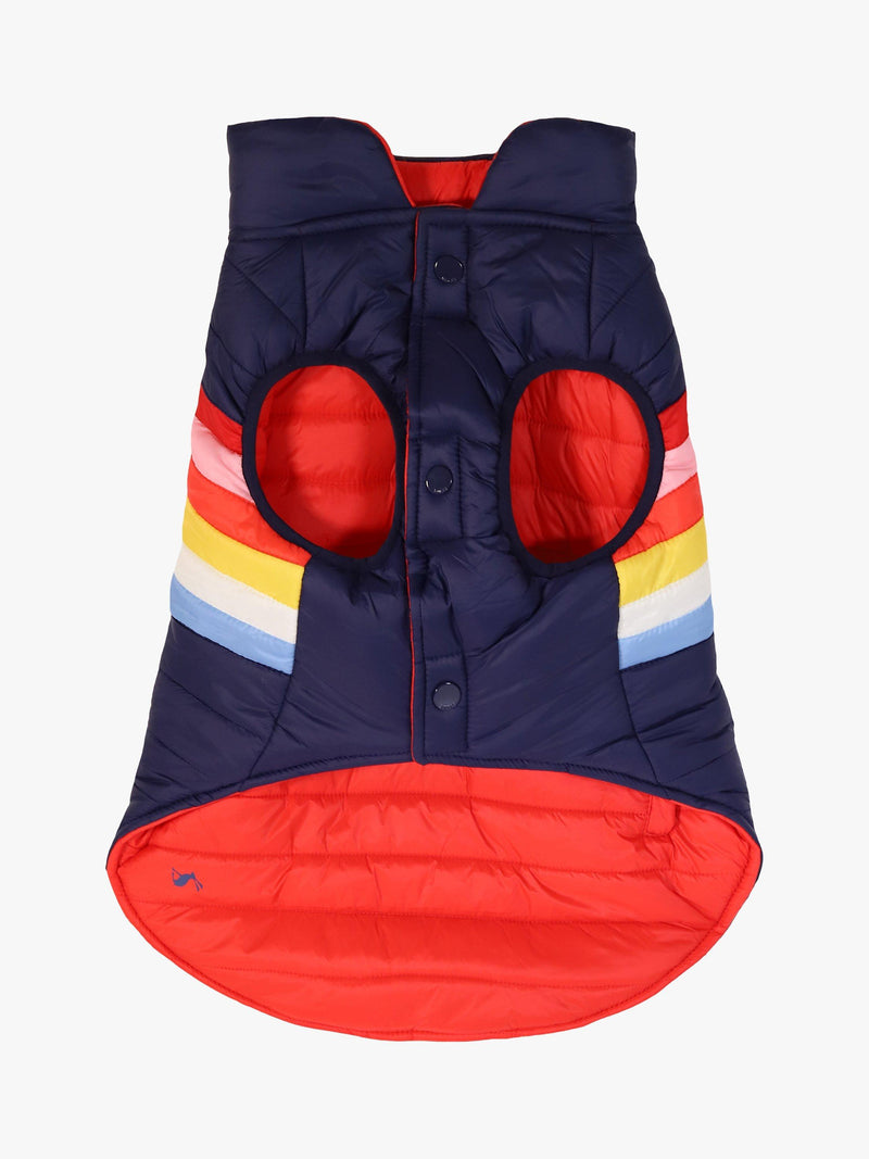 Joules dog coat rainbow stripe multi, UK version