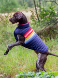 Joules dog coat rainbow stripe multi, UK version
