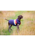 Joules dog coat rainbow stripe multi, UK version