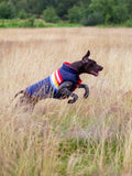 Joules dog coat rainbow stripe multi, UK version