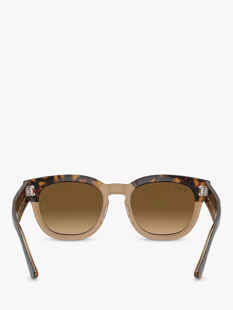 Ray-Ban RB0298S polarized gradient sunglasses Havana brown, imported from the UK