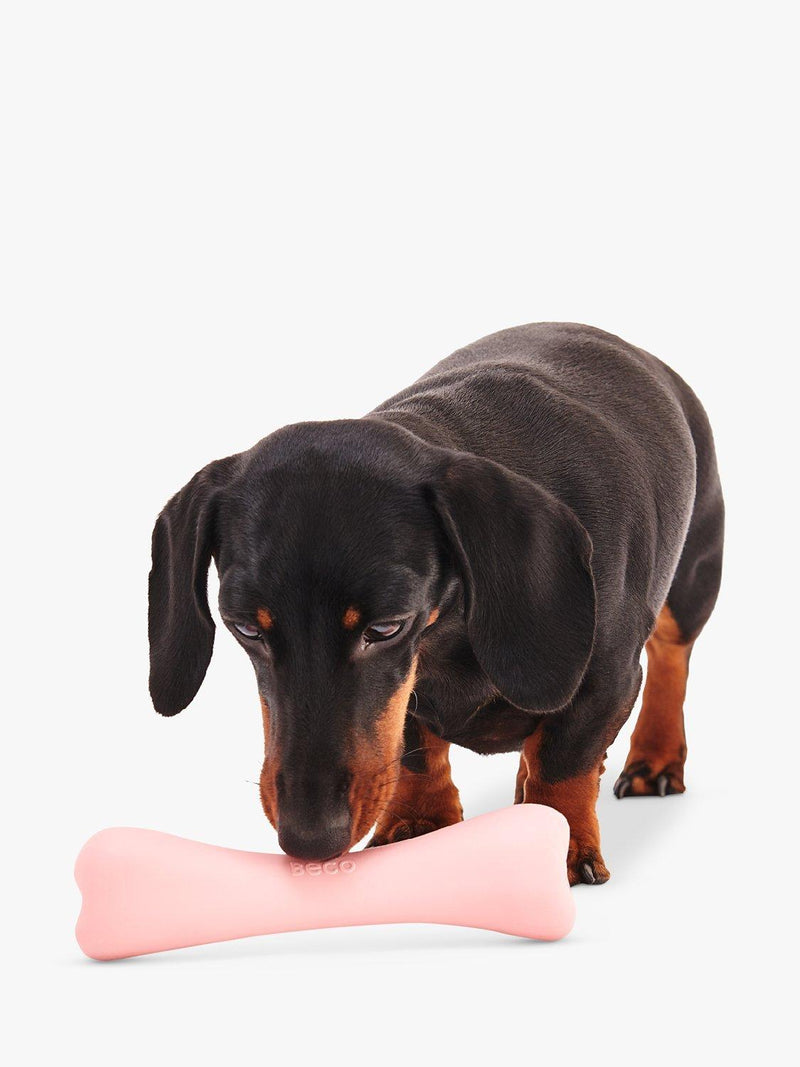 Beco Pets dog treat bone green natural rubber (British brand)