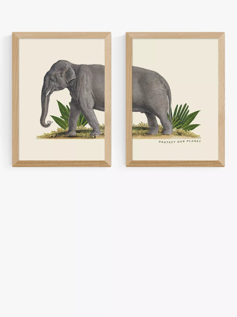 EAST END PRINTS Natural History Museum Elefant gerahmter Druck Set von 2 (A2)
