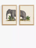 EAST END PRINTS Natural History Museum Elefant gerahmter Druck Set von 2 (A2)