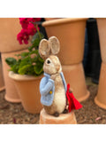 Crafty Kit Company Peter Rabbit needle felting kit, imported from the UK